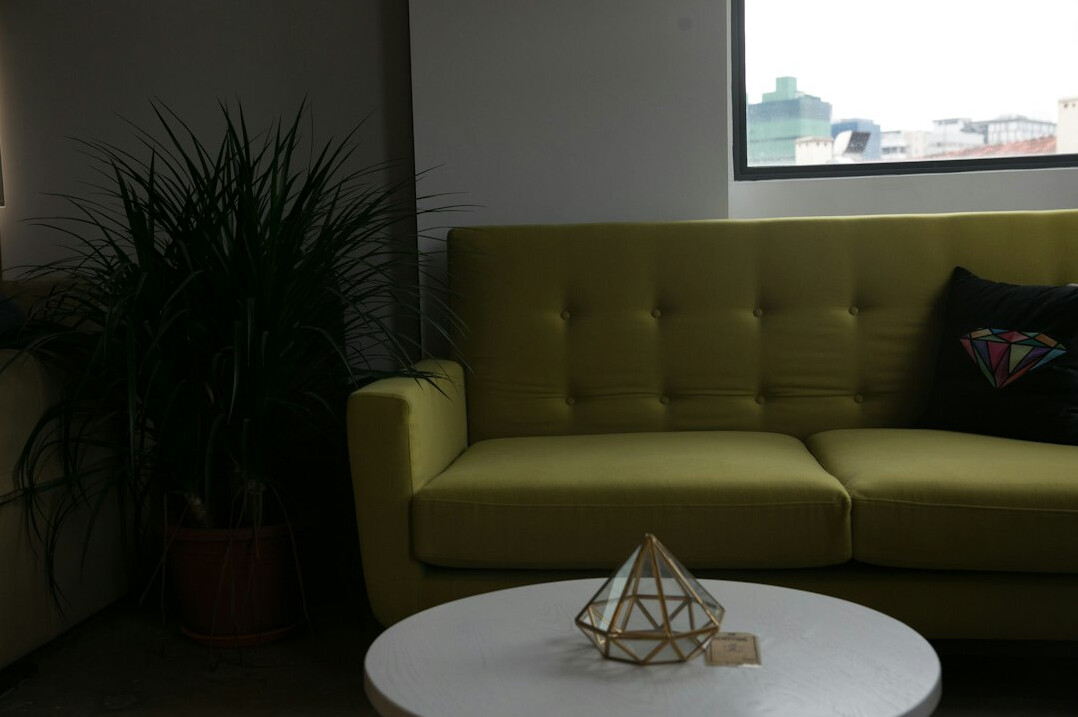Bright open-plan office reception area with plants and seating